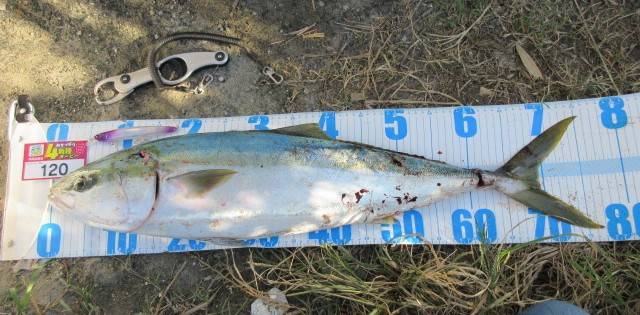 line_oa_chat_211106_133237