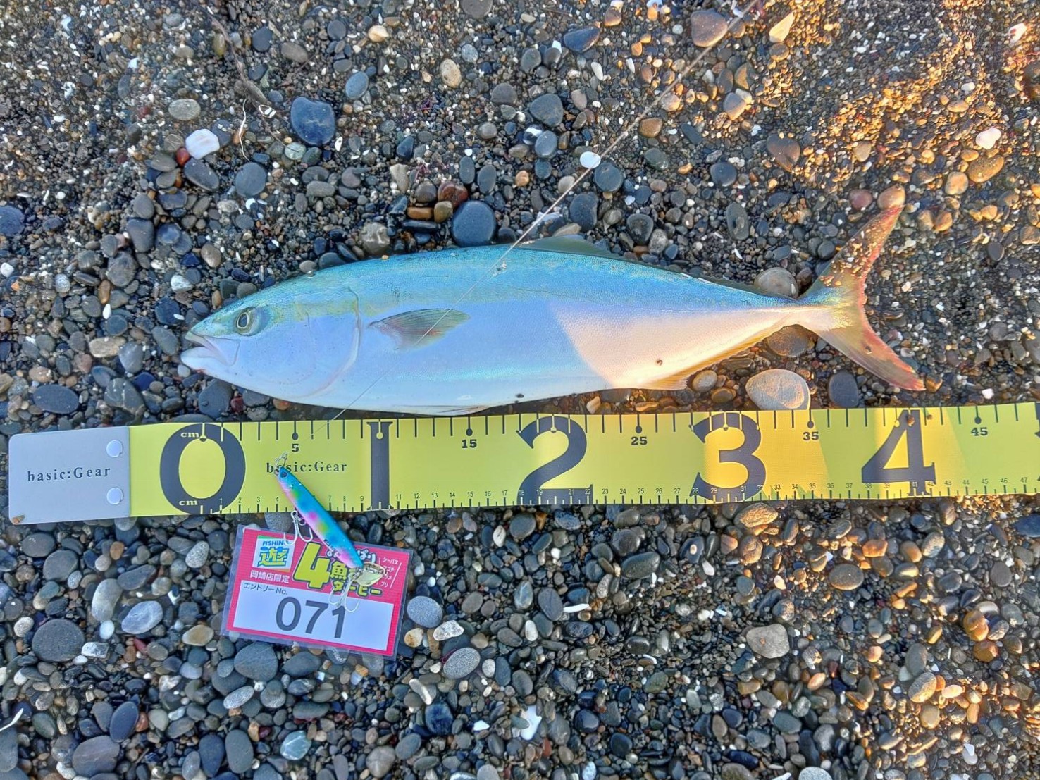 line_oa_chat_211106_133359