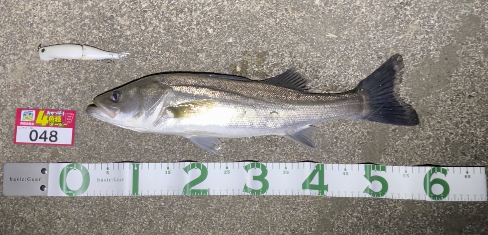 line_oa_chat_211107_093243