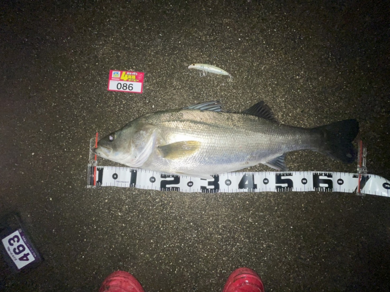 line_oa_chat_211107_093343