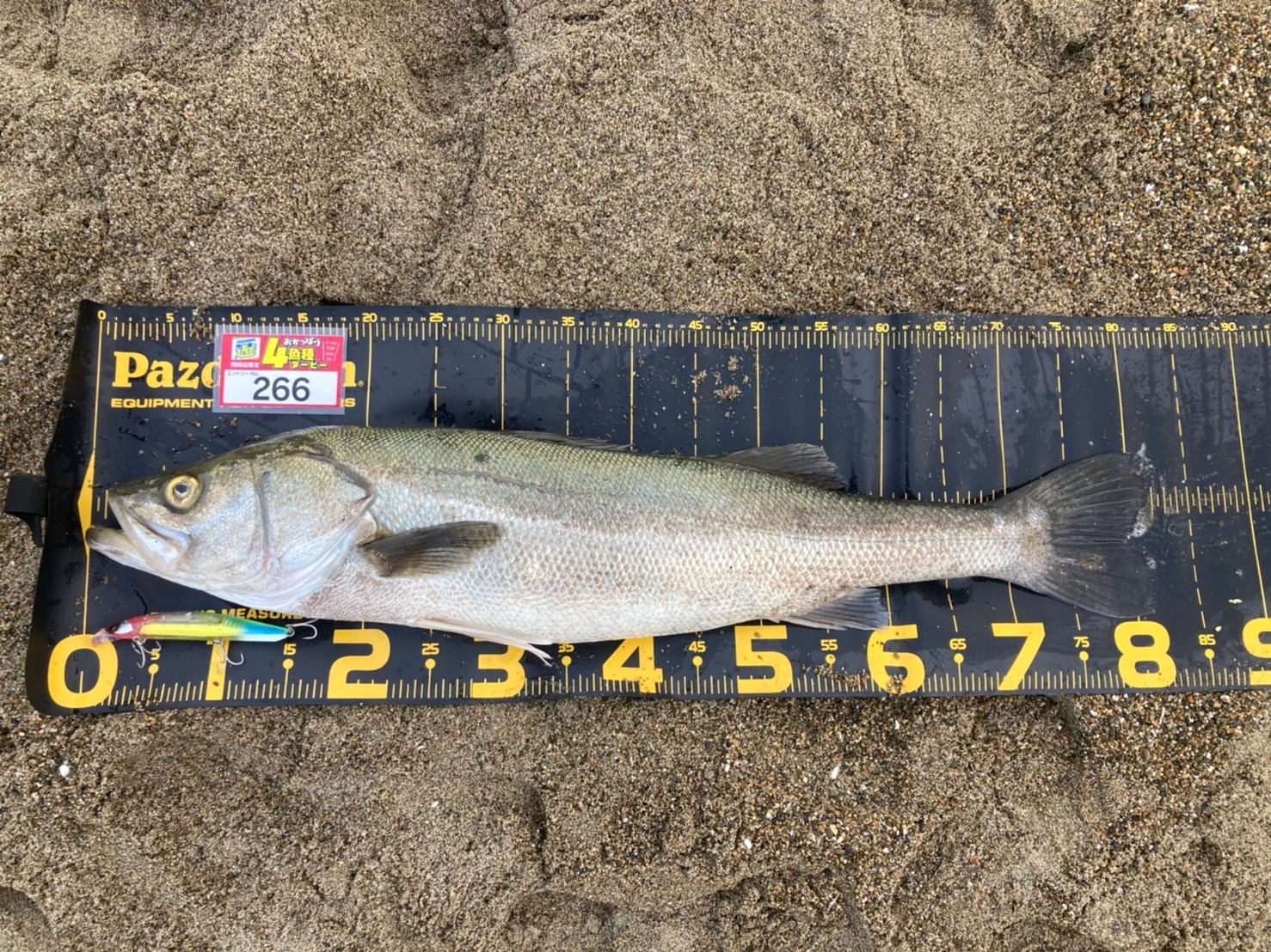 line_oa_chat_211107_093516