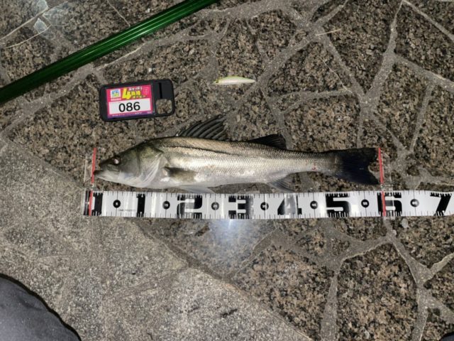 line_oa_chat_211108_184355