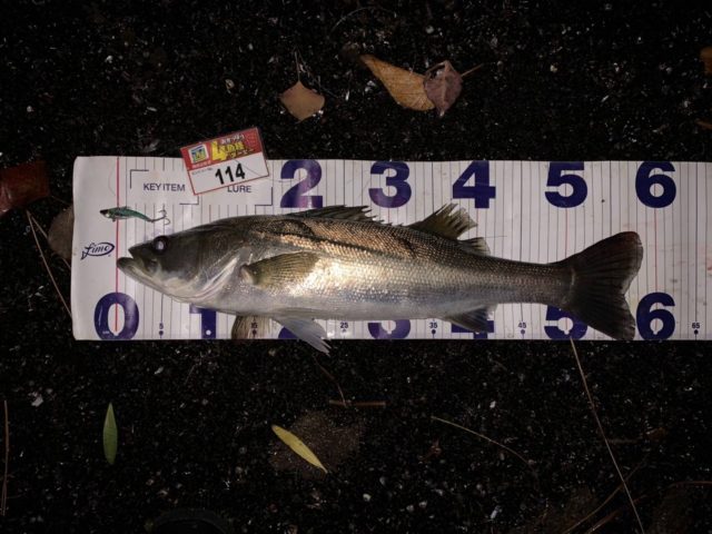 line_oa_chat_211109_121616