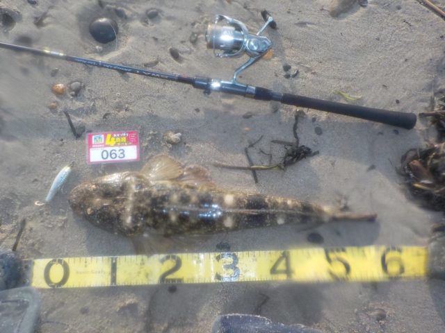 line_oa_chat_211111_122113