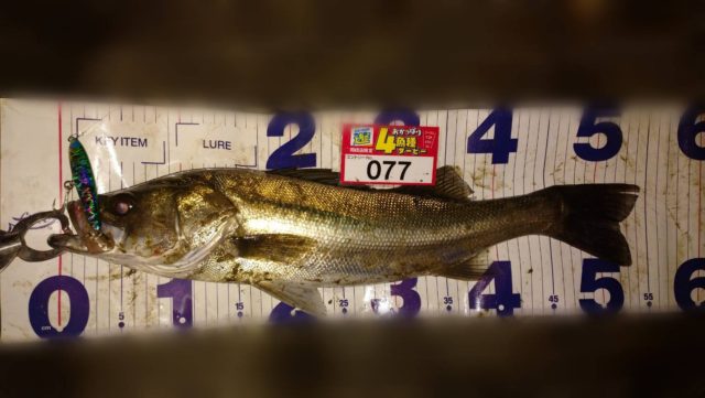 line_oa_chat_211111_122151