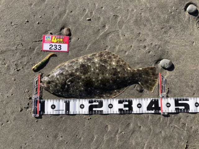 line_oa_chat_211119_122533