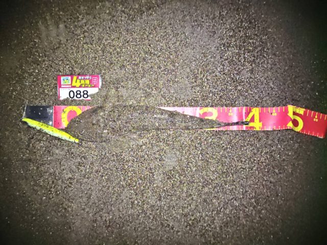 line_oa_chat_211119_123418