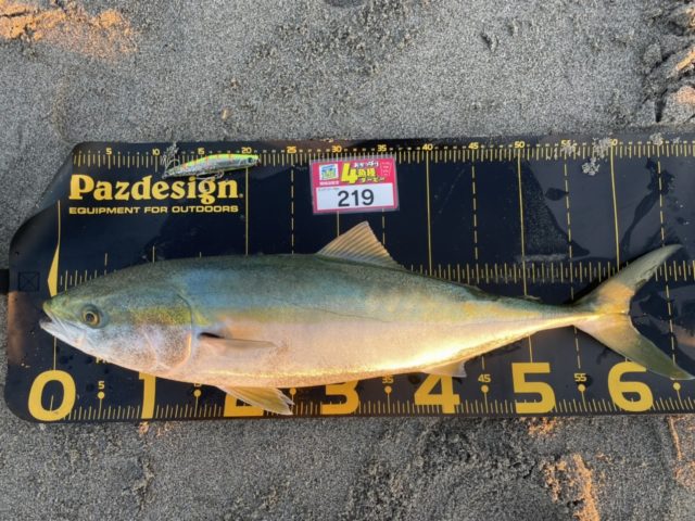 line_oa_chat_211119_123548