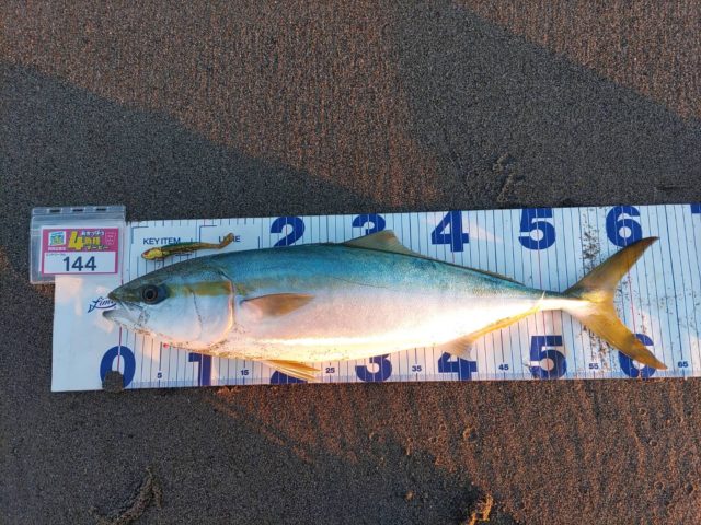 line_oa_chat_211119_123820