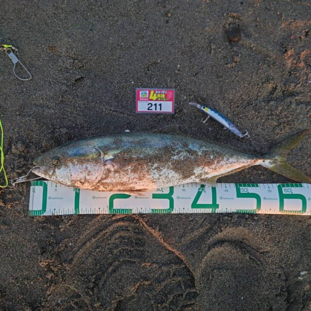 line_oa_chat_211119_123851