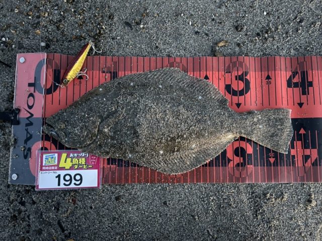 line_oa_chat_211119_123953