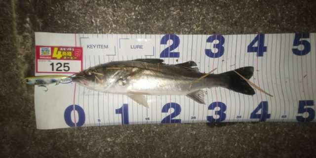 line_oa_chat_211119_124302