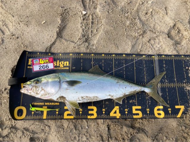 line_oa_chat_211119_124539