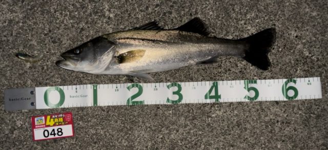 line_oa_chat_211119_124701