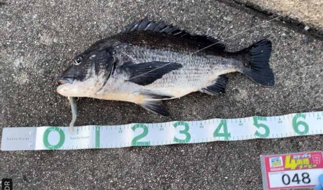 line_oa_chat_211119_124703