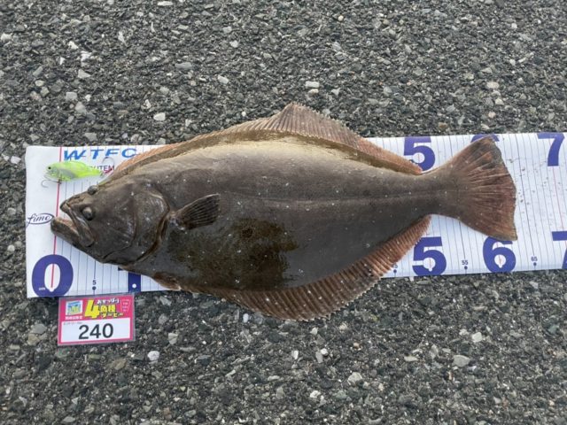 line_oa_chat_211119_144152