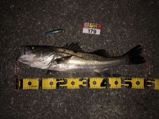 line_oa_chat_211119_144708