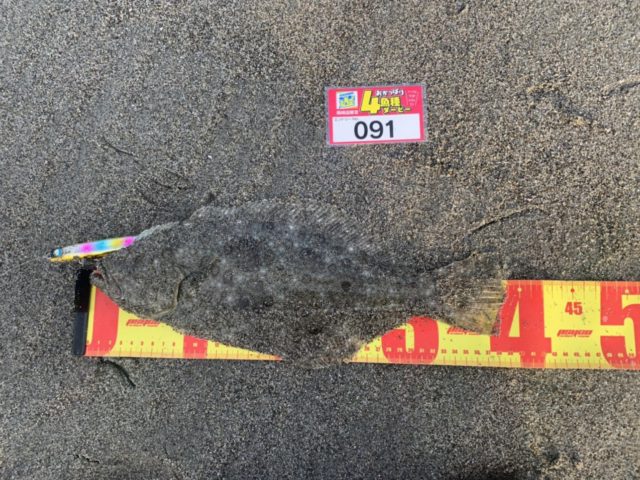 line_oa_chat_211119_145033