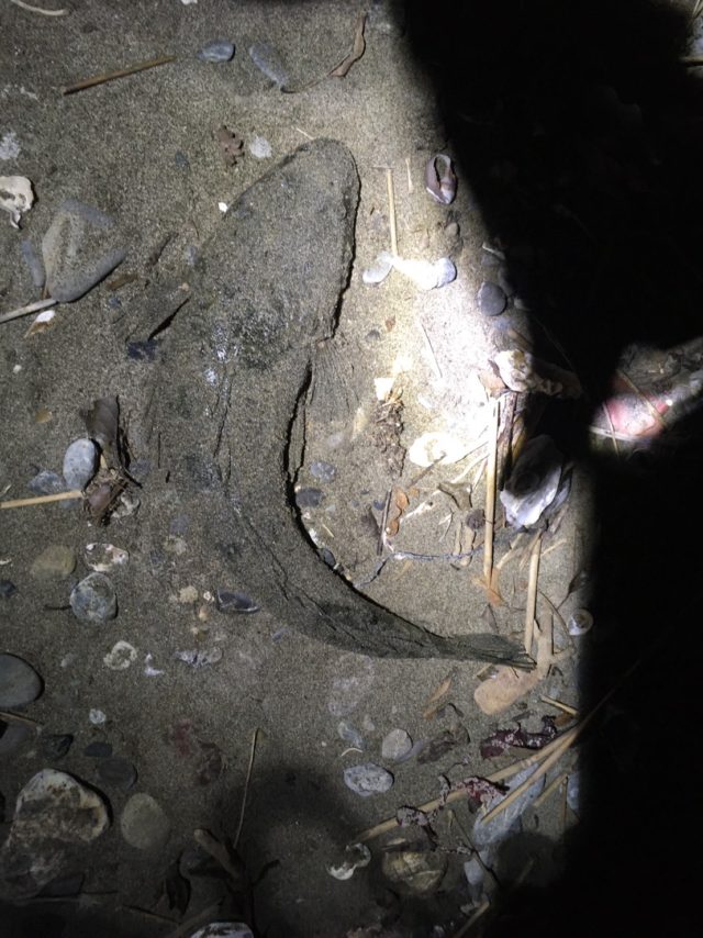 njEpo6XvTVS7JrXca-h5dGF-rTIFrtKzOoaZZpt0FMQ809uahWvvvbvPD3evTDFVSXotT-ud255oD3Hj1pyfOGIpgUfbrYV6GAlPBbJTTUt00i_vWgSpCPxlR1iE5CPb