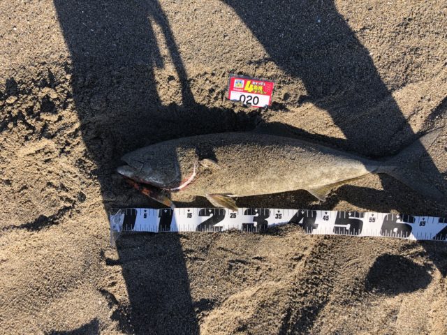 1FAIpQLSee2Nb1uxbfTW1-N-jIUYmh7Das4_Lub2lMR5C0kkSnsHVSMA_-MpmOBstTV7Dzj9GP5Wk_408773221_8DE5D4A6-CF5F-4912-806D-212686A643B4