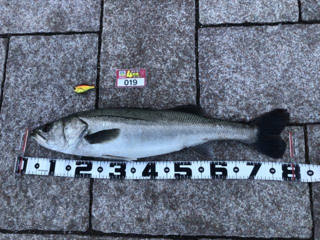 1FAIpQLSee2Nb1uxbfTW1-N-jIUYmh7Das4_Lub2lMR5C0kkSnsHVSMA_-MpnMOfxkLZkuWsPaPxY_408773221_92F7DD9F-B884-437E-B238-5C163C735FC9