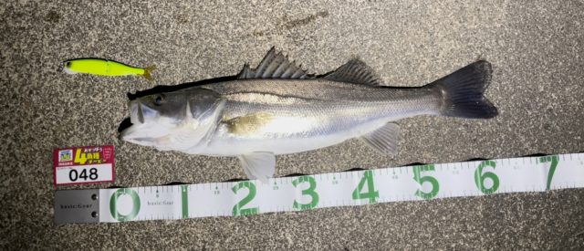 1FAIpQLSee2Nb1uxbfTW1-N-jIUYmh7Das4_Lub2lMR5C0kkSnsHVSMA_-MpzjBCRvwlqf74RsMlA_408773221_DD64045B-902D-49E3-8A8F-52C6F9031C69