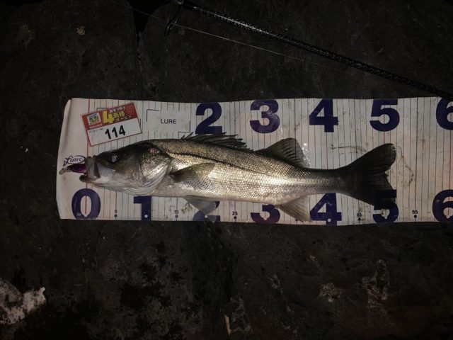 1FAIpQLSee2Nb1uxbfTW1-N-jIUYmh7Das4_Lub2lMR5C0kkSnsHVSMA_-Mq7n_VBW3C7bXYmuZJX_408773221_252FD7FE-D421-4CA3-A6D4-F8FE68F7B2B6