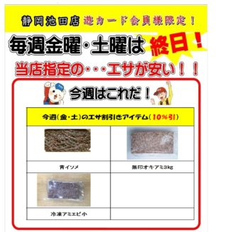 12月エサアプリ