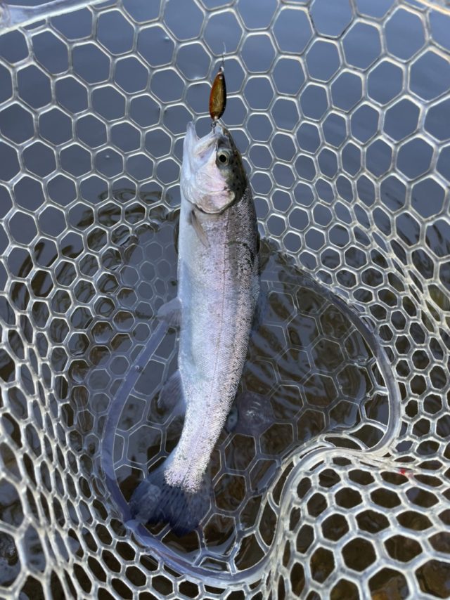 B100B081-400A-4699-B360-A11E2C5947BA