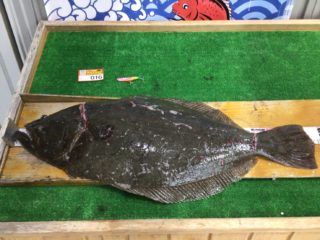 F507723D-5DC2-4885-A6AD-220F54C0EC9D