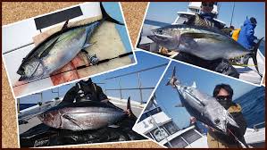 c3b7b151404cc89835b13e38bf91e53a