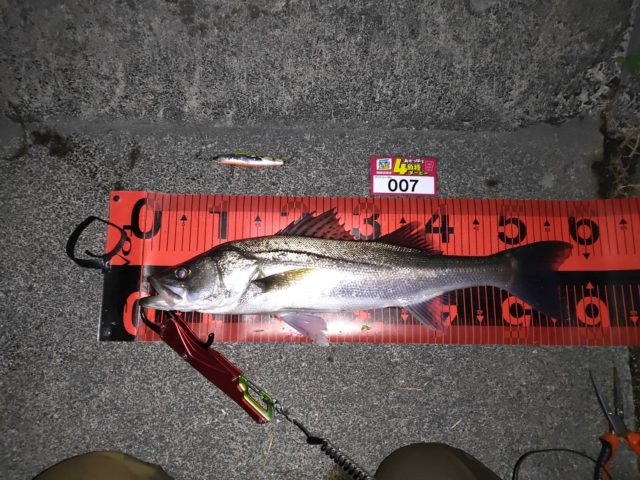 line_oa_chat_211205_164957