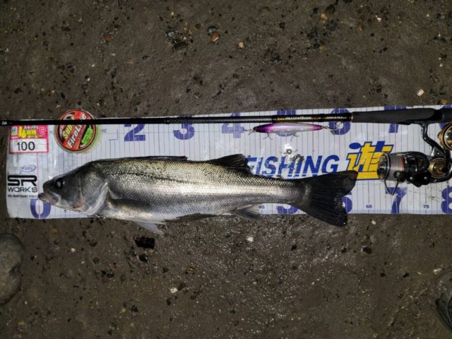 line_oa_chat_211205_165051