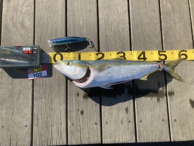 line_oa_chat_211205_165137