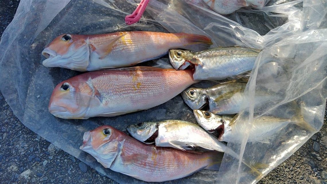 line_oa_chat_211220_172545