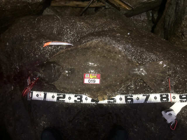 220104_65BC121F3152-1