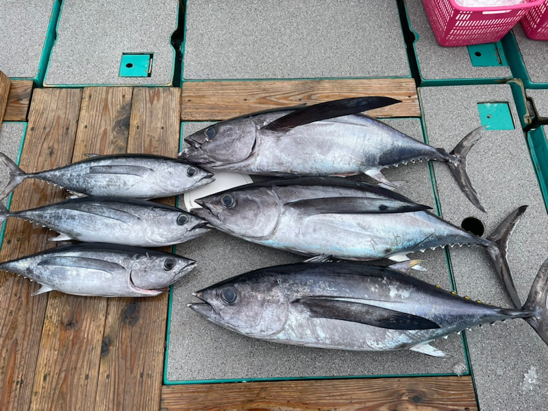 25DE6962-E686-4A86-8427-CA420046E713