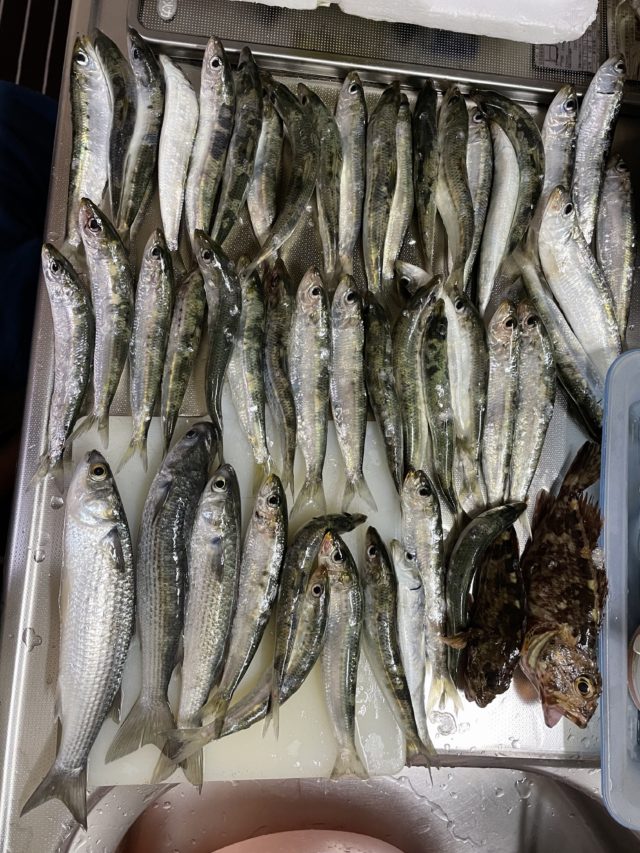 そこに愛はあるんか様1