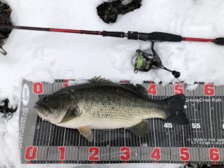 3EDBD51C-8DA1-4DDB-B2B3-C08635349F01