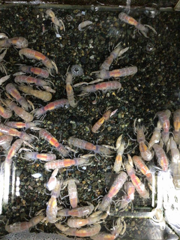 4203EC3E-C676-4A97-BC1F-4D437D0050A3