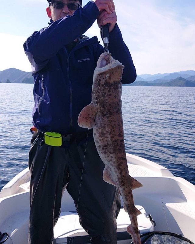 4540A151-6782-403B-8B95-3846E8E7ADB3