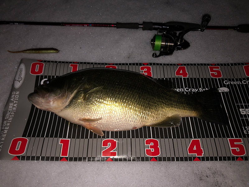 5B11D71E-0621-42F4-AC28-7428338C4F5F