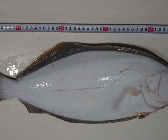 81f0a9bf9373bcdb841f6afb2a4c0d12