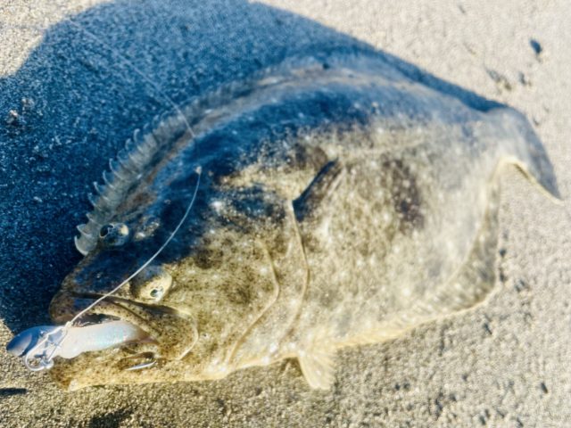 919BAC2A-FC44-427C-906F-27DE3113DDA0