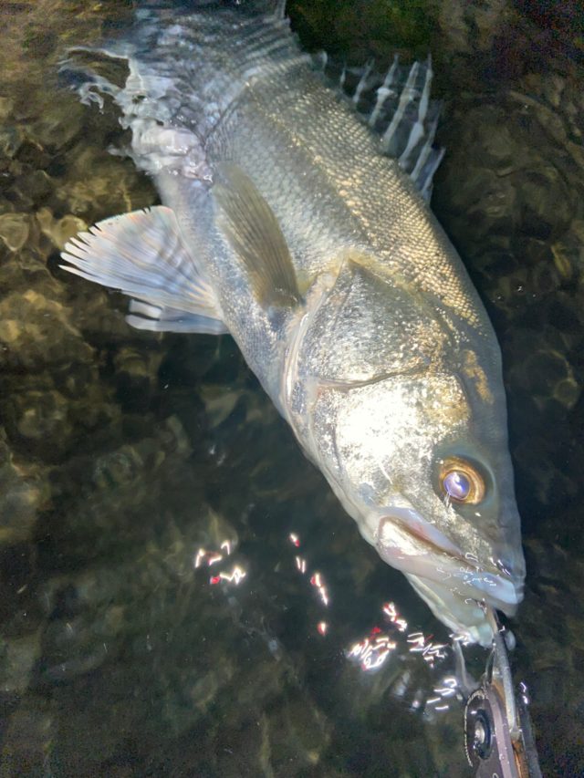 DghIAx3B2GKTtS9yqW1OodD9rHSyL7Xyy6pgAW4ZMVTbjetDZ9MzzhRuvMERi2gX4QgF0r5OpQt0i86QCcAzFSbhwvHekorDoJHmb0Xi3kneNwBze9DTP3wyE-vOZVqW