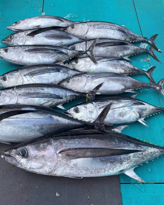 FB_IMG_1643497711767