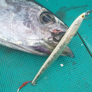 IMG_20210228_193151_130