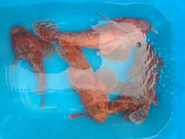 KIMG3562_copy_4248x3186