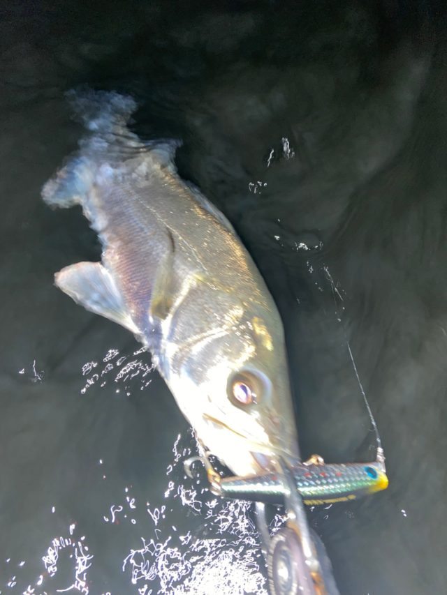 lO2qfjEeKovhD8p3uP6H-IfAwjH7veS0dPds6arOZcp1umQNdcr1dYLkJ6XWaMoxnA8U6DcqrQ5vC0gPRgAxZJi-Wshd3NhwXZT25Jrt-smdxJUO7HKFvRRvlBMAmSWv