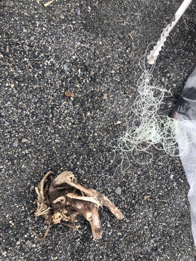 line_oa_chat_220130_132504